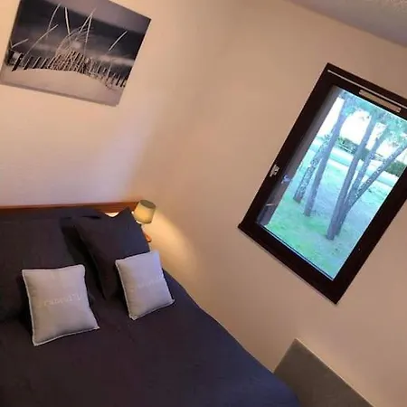 Georges De Didonne Baie De L Océan Les Dauphins *