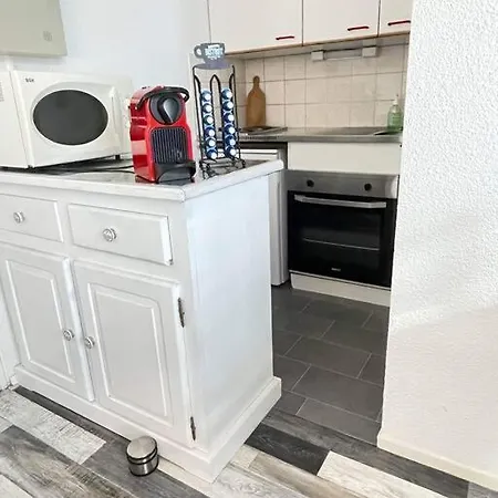 Georges De Didonne Baie De L Océan Les Dauphins