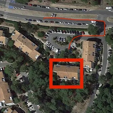 Georges De Didonne Baie De L Océan Les Dauphins *